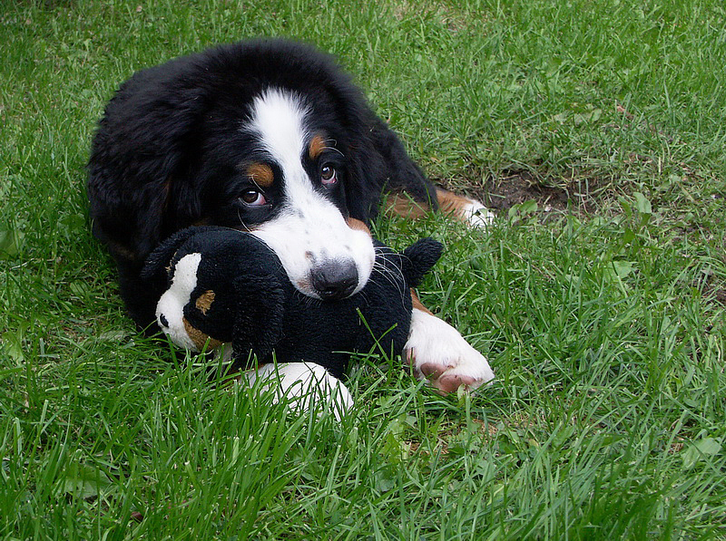 Anton PICT1046 (1)_BildgrÃ¶ÃŸe Ã¤ndern.jpg